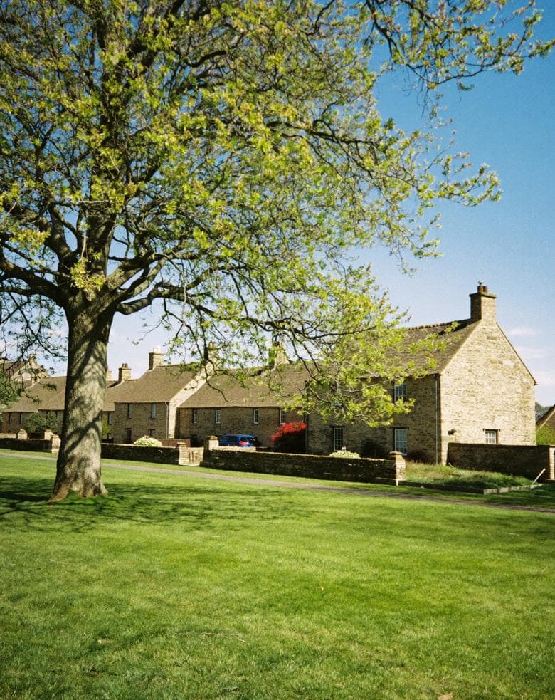 A village green under a spreading tree with stone cottages beyond