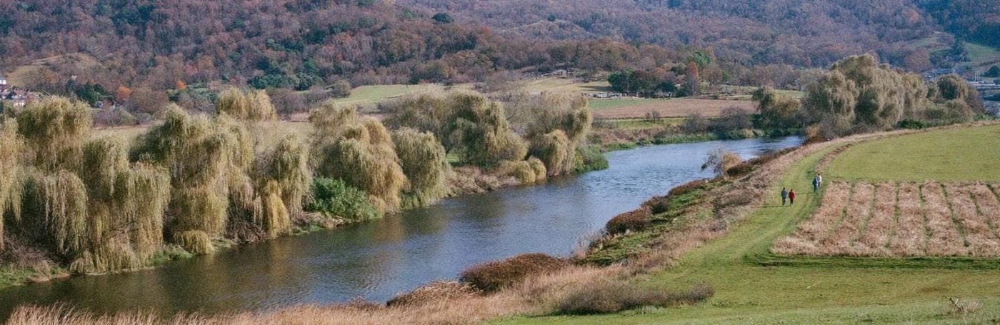 A wide green valley with trees along the river