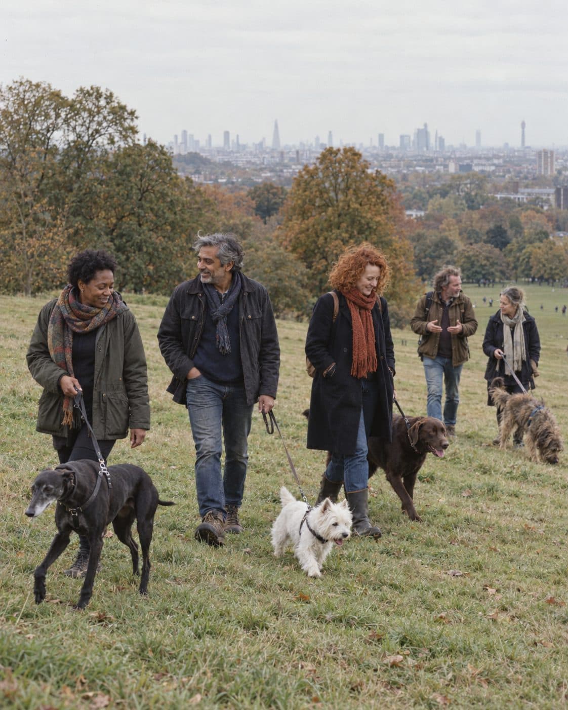 Dog owners walking on Parliament Hill with the London skyline behind