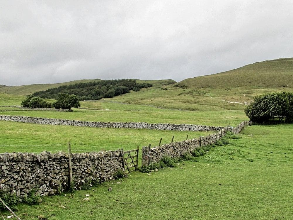 Dry stone walls crossing green fields in the Hope Valley